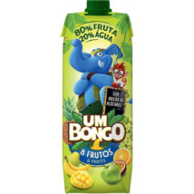 SUMO UM BONGO 8 FRUTOS PR 1L
