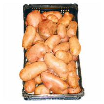 POTATO RED BAG 20KG