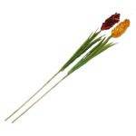 STEM PROTEA SECA C/F.VD.17035