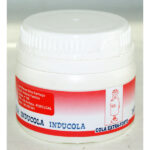 GLUE INDUCOLA WHITE BOI.125G