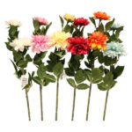 STEM ZINIA 52862