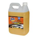 SHAMPOO AUTO MR.FUN SHIN.3/1 5L