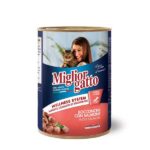 COMIDA GATO MIGLIOR SALMAO LT 405G