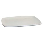 PLATE CERAMICS 25X16 49910165