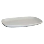 PLATE CERAMICS 29X18 49910166