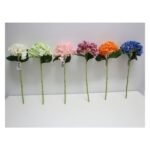 STEM HORTENSE PE WATER 20330