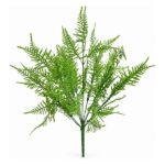 BRANCH ESPARGOS 25335