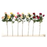 STEM PEONIA 20136