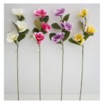 STEM MAGNOLIA 20289