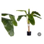 VASE C/ PLANT (BANAN)1