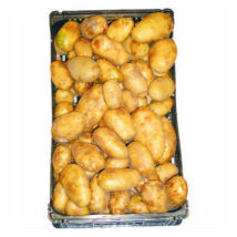 POTATO WHITE AGRIA BAG 20KG