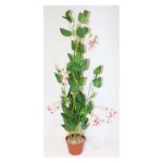 VASE C/PLANTAS HK25F0002